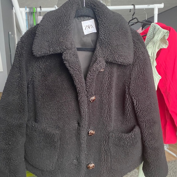 Zara Jackets & Blazers - Zara Teddy Jacket